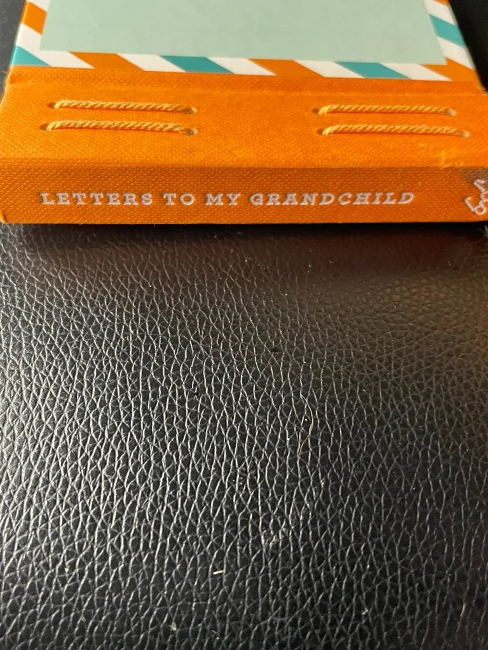 Letters to My Grandchild: Write Now. Read Later. Treasure Forever
